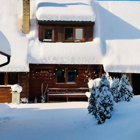 Villa Andrea- neakceptujeme mladé partie Terchová Esterno foto