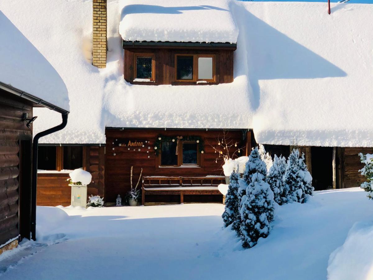 Villa Andrea- neakceptujeme mladé partie Terchová Esterno foto