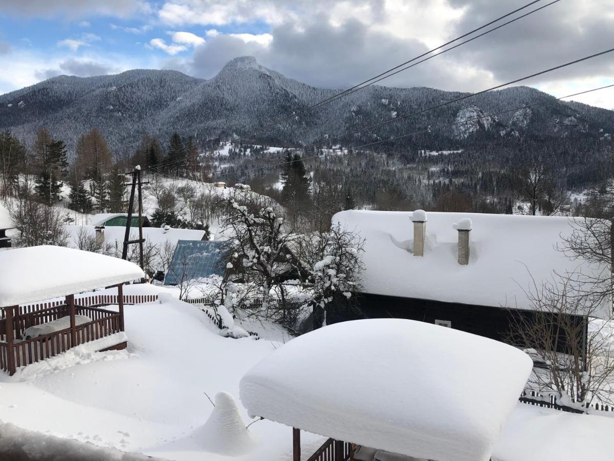 Villa Andrea- neakceptujeme mladé partie Terchová Esterno foto