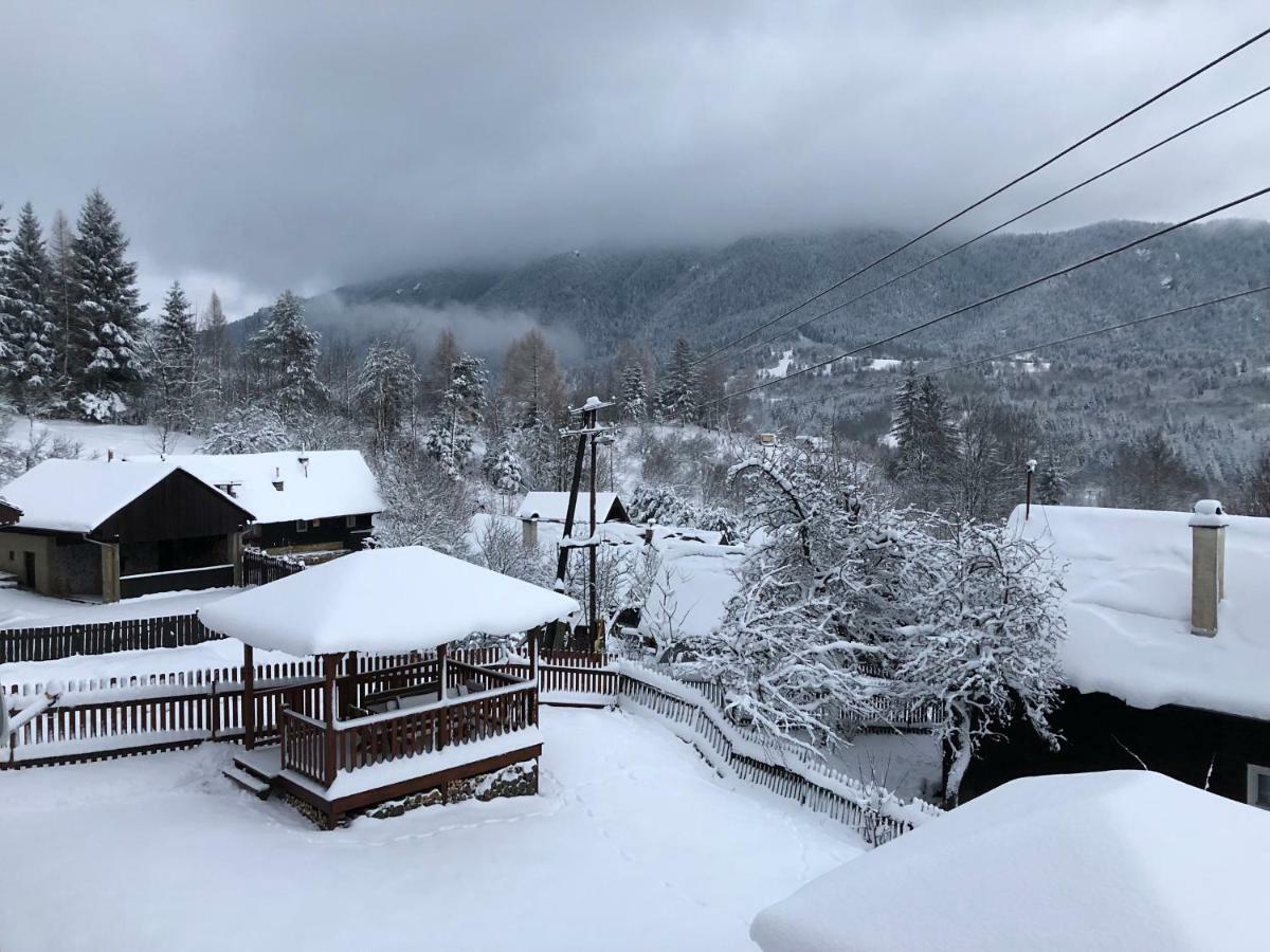 Villa Andrea- neakceptujeme mladé partie Terchová Esterno foto